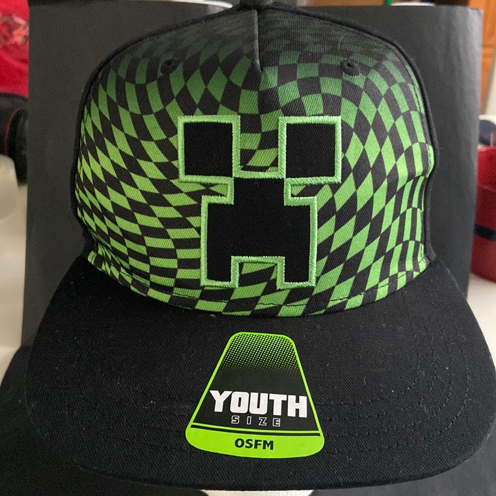 NWOT Youth Minecraft Cap